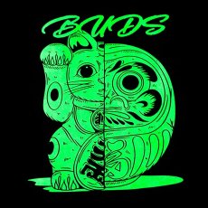 画像14: 【ラストXLのみ】BUDS（バッズ）“MANEKIDARUMA NEON NO SLEEVE TEE” (14)