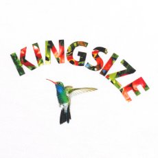 画像5: KINGSIZE（キングサイズ）“HUMMING BIRD TEE” (5)