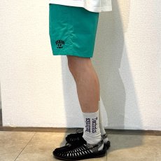 画像9: 【ラストLのみ】BUDS（バッズ） “EST COLOR SHORTS” (9)